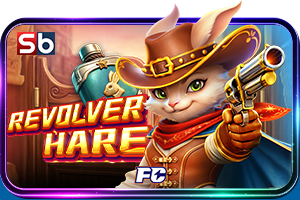 Superbaji 62 revolver