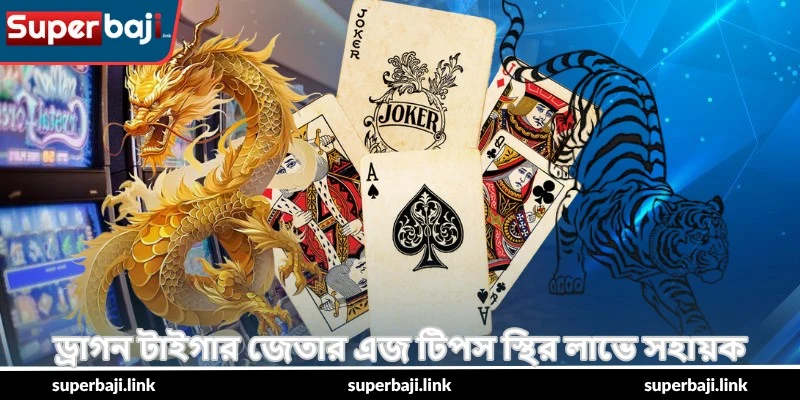 Dragon Tiger Winning Edge Tips – সেরা গাইড - SuperBaji 5 ড্রাগন টাইগার জেতার এজ টিপস স্থির লাভে সহায়ক